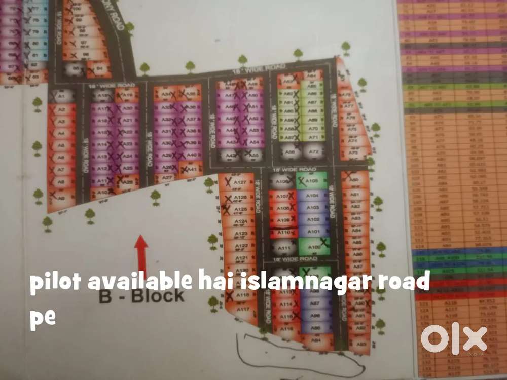 Pilot available hai