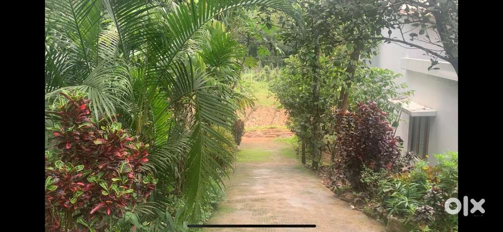 19 cent land with a old house