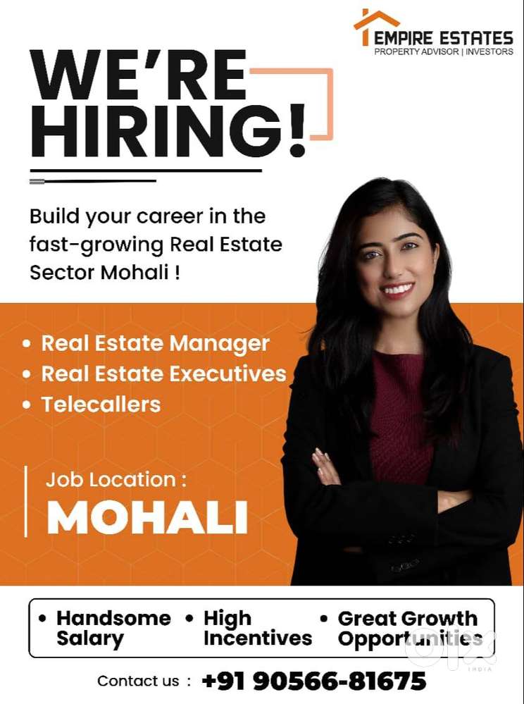 Required Experience Sales & Marketing Executives in Real Estate Mohali