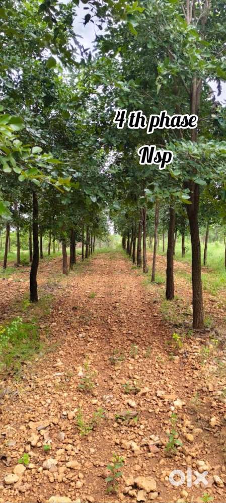 RED SANDAL FARMLANDS FOR SALE