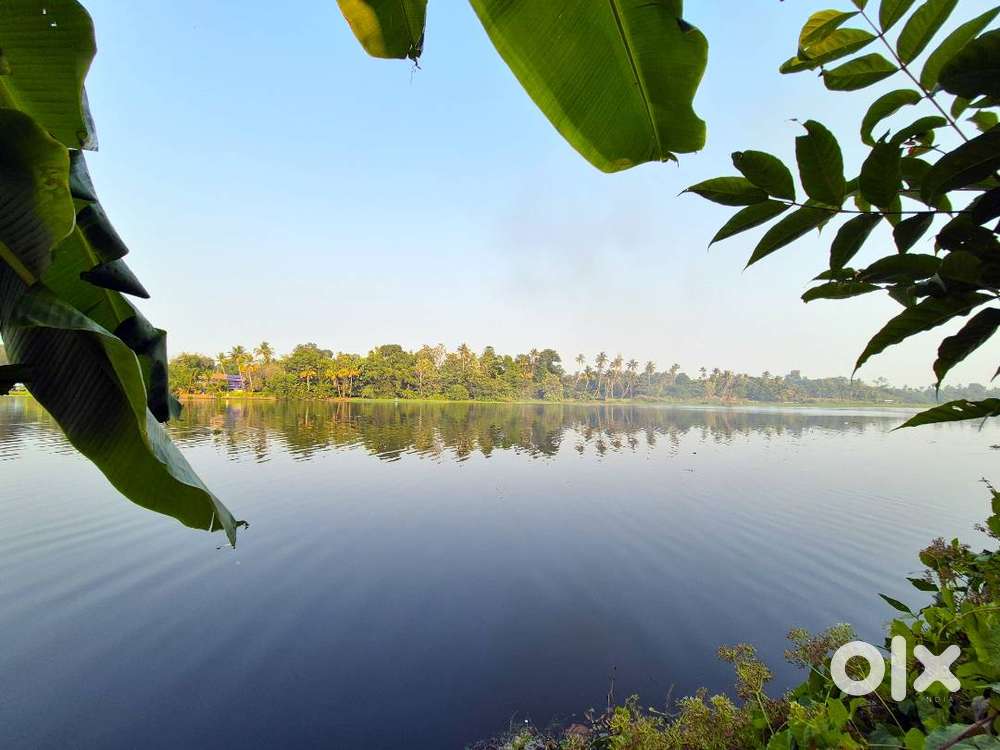 41 Cent Waterfront Land with Old House – Varapuzha, Ernakulam