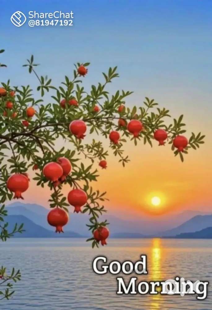 Female Personal secretary