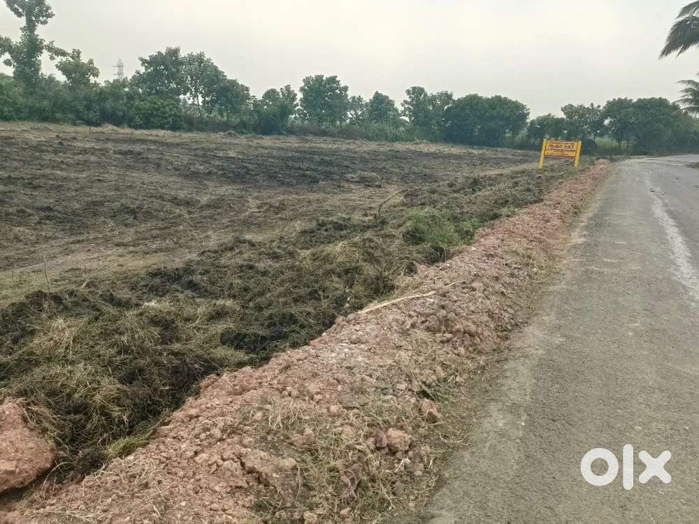 Nellikuppam Municipality Vaidipakkam Plot For Sale DTCP Approval