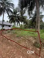 Corner plot with four coconut trees in Shriram Nagar DHARWAD for sale