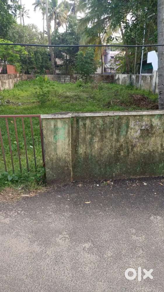 4 Cents for sale @ Pachalam ( PJ Antony Road)