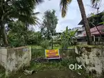 4.5cent Original Land for Sale in Kalathode, Thrissur.