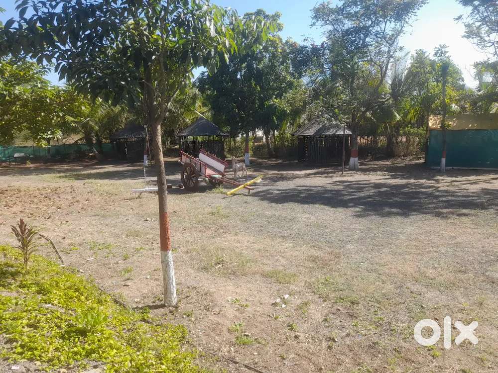 Required team for hotel (Head cook, second, cook, Tandoor cook, vetar