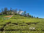 Premium flat land at Nilgiris