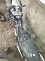 Pulsar 135