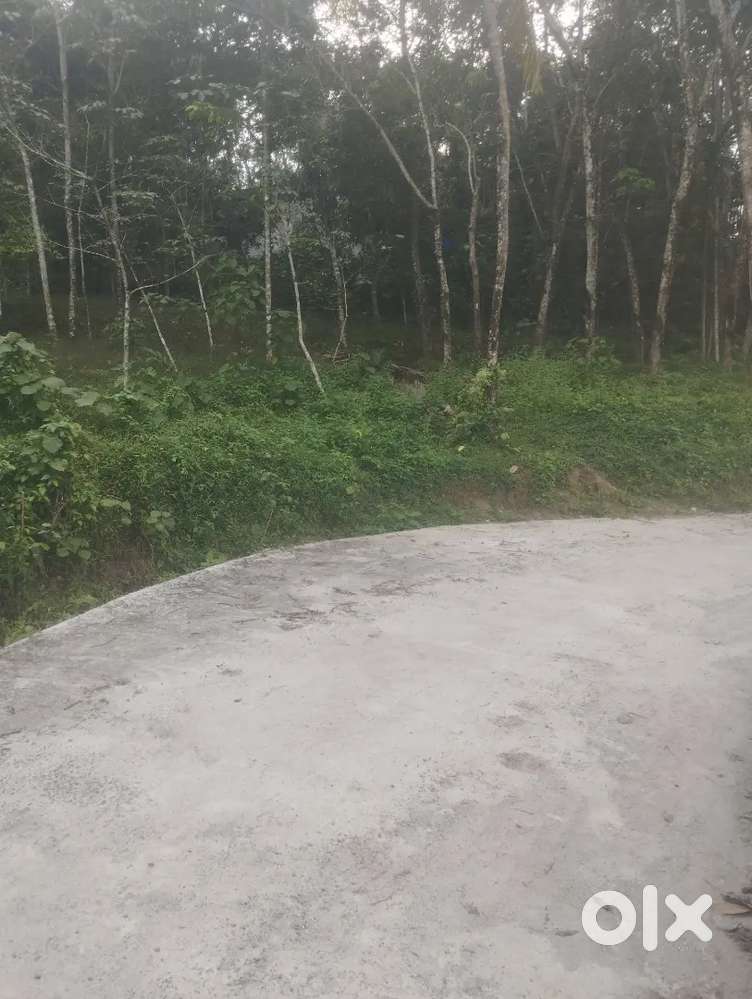 17 cent റോഡ് side പുരയിടം, വെള്ളം, electricity available