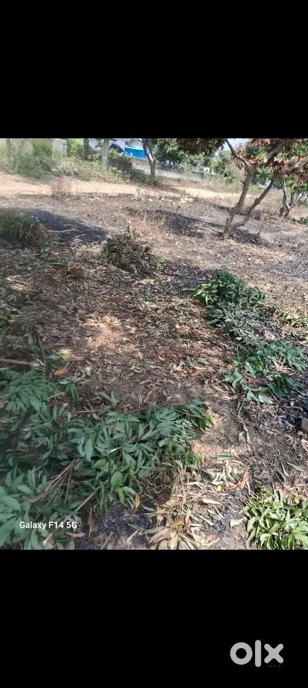 Registered plote bank of baroda fagpur ke sath me