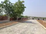 AT SADASIVPET Rs.7,500/- PER SQUAD NEAR PATLOOR DTCP APVED PLOTS  SALE