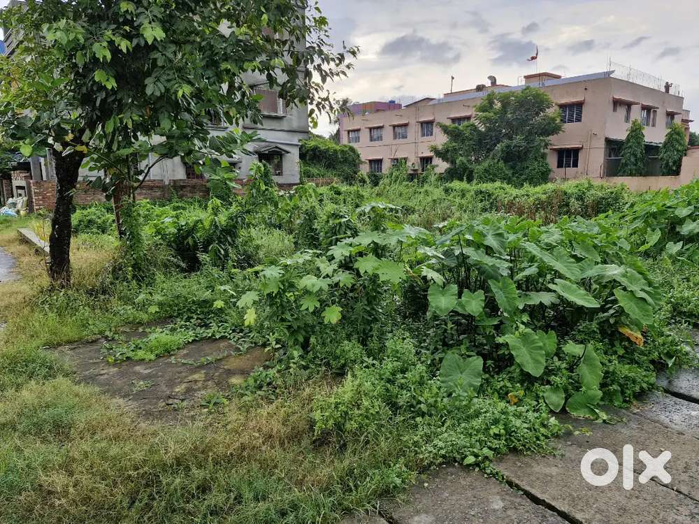 Plot available near Future Engineering College Sonarpur