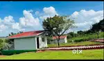 Agriculture land
