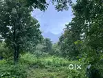 Prime Road-Touch Land for Sale at Konkan