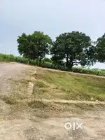 श्याम वाटिका, नियर कइट कॉलेज,  मुरादनगर गाजियाबाद में