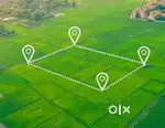 Kakkanad 15Acres of Land For Sale