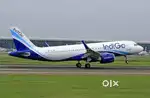 Urgent hiring for indigo airlines apply fast