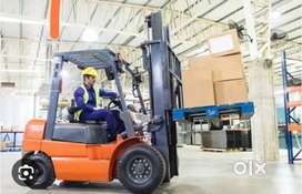 I want fork lift operator job