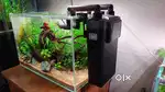 Fish Tank Setup - Island Theme Planted Aquarium - Full Setup For Sale