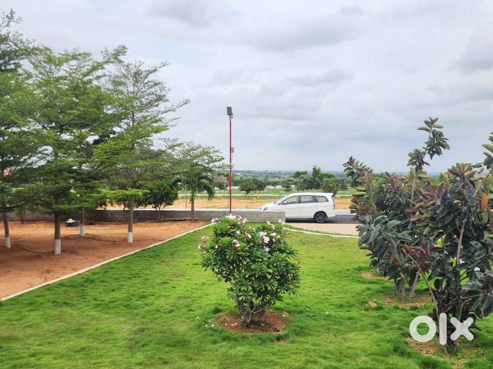 DTCP plots at Low cost