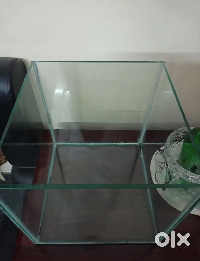 Glass aquarium