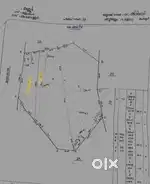 4 Acre Land Near Hero Plywood Factry, Chorukkala-Bavprmp Apt Road