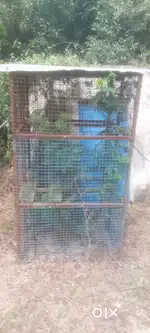 Hen cage ..sale