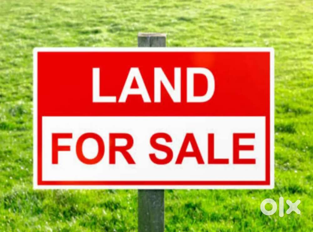 Miyadi pota mati... South Amolapatty r pora 1km distance