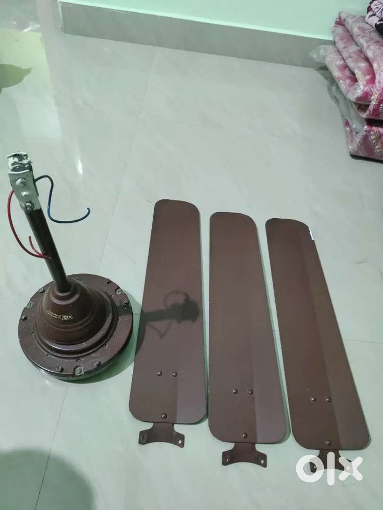 Ceiling Fan for sale