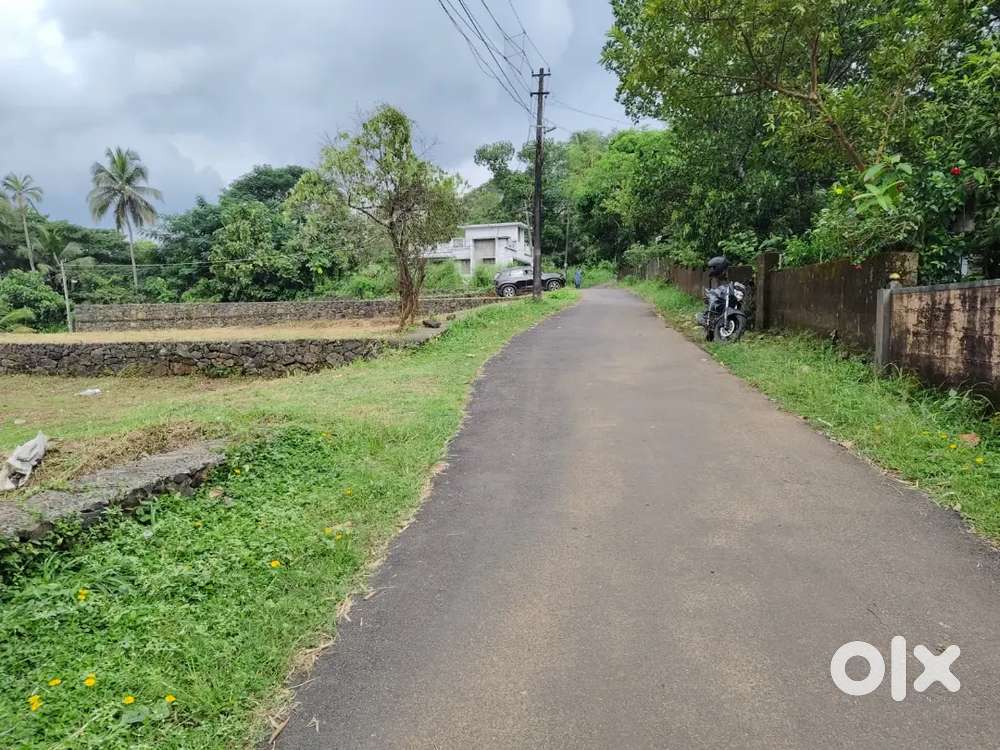 Residential Plots near Kulappully & PK Das Medical College (Shoranur)