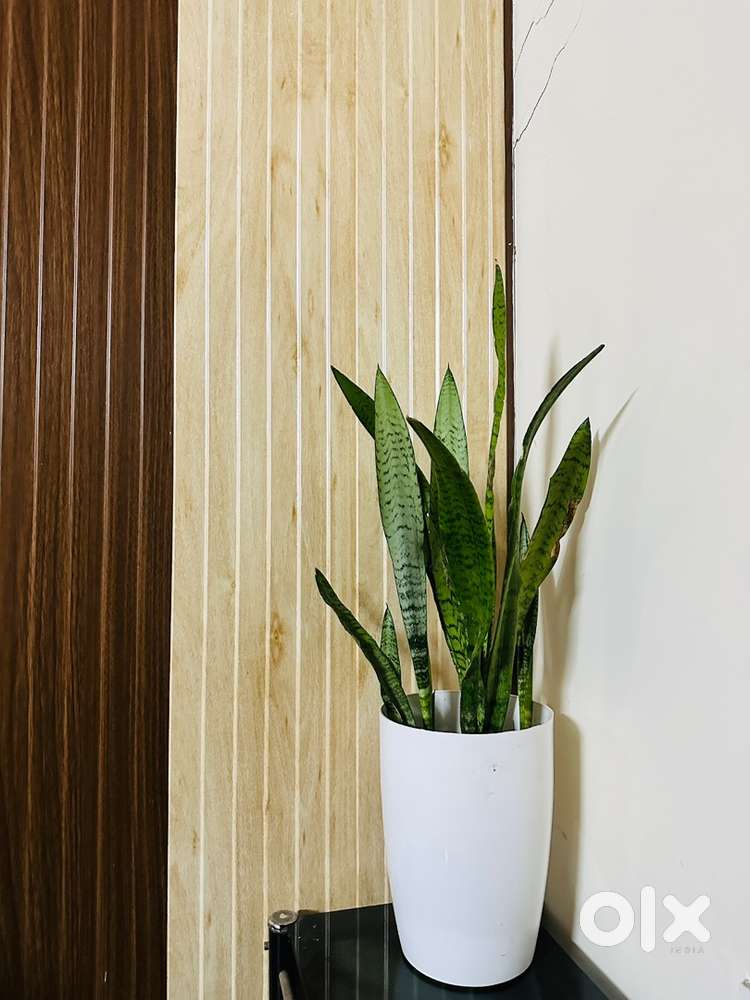 East facing beautiful house for sale.just 1km form highway