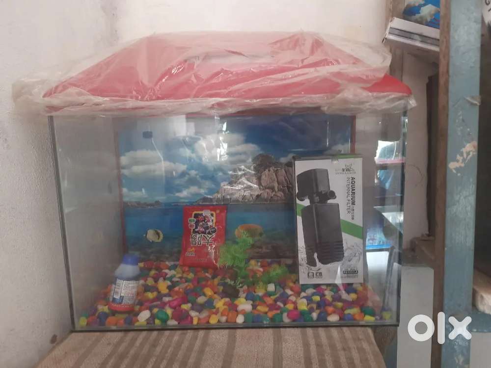 An Aquarium