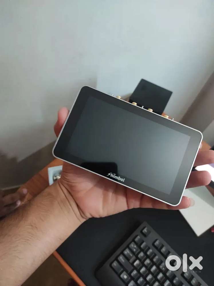 Mirrorless camera (monitor)