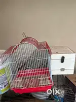 Birds cage with breeding box