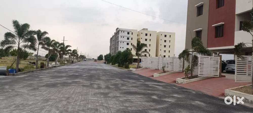 Need male and female makertin executive and marketing managers