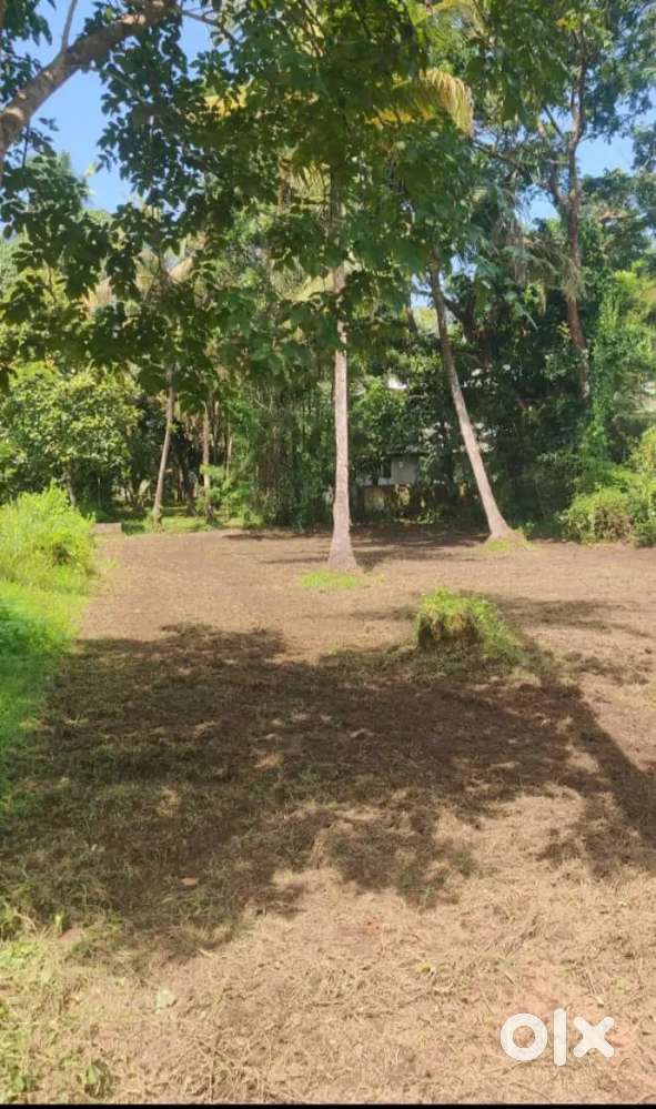 സ്ഥലം വില്പനക്