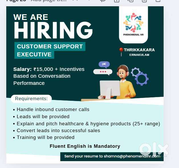 Customer Support Executive