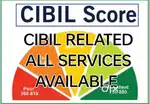 Cibil related all work regard loan ,bank