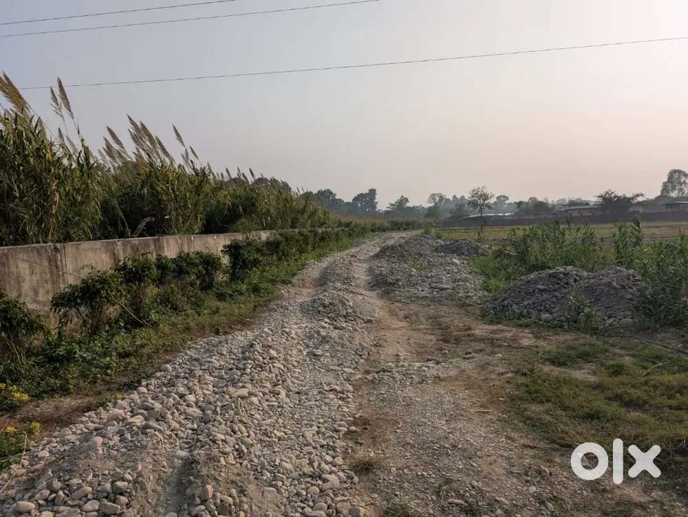 Plot for sale in selaqui Rajawala road
