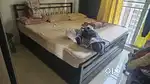 Metal Bed Powder coated with strong hydraulic and storage