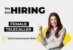 Tele Caller (Work From Home)