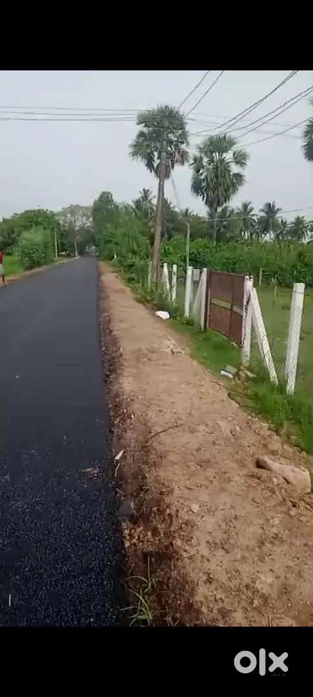 Agriculture Form Land