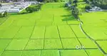 Plot for lease