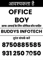 Office Boy Job