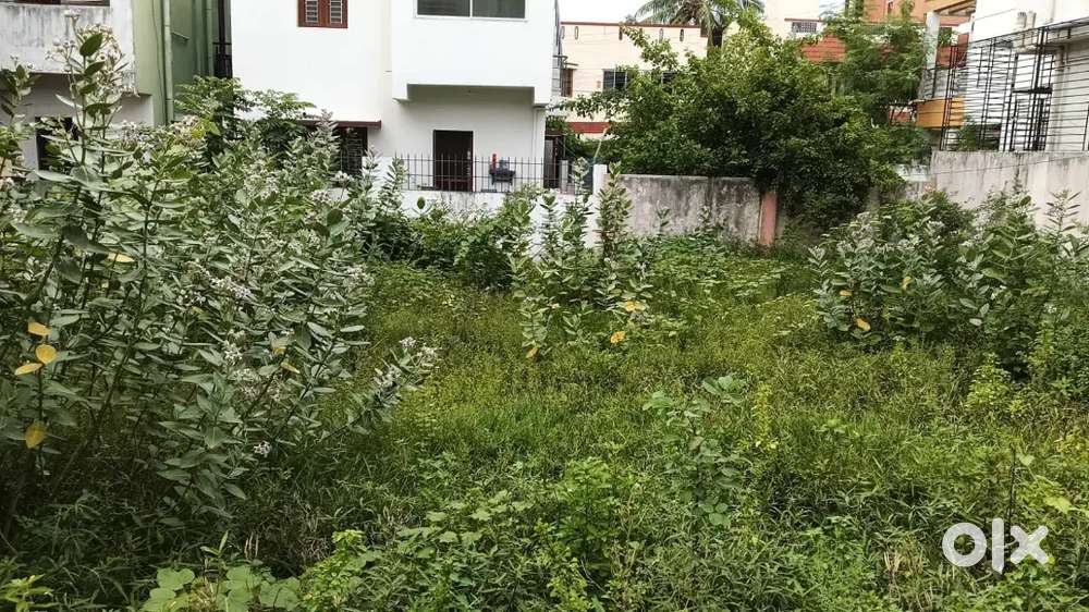 Residential Approved Land in Mugalivakam