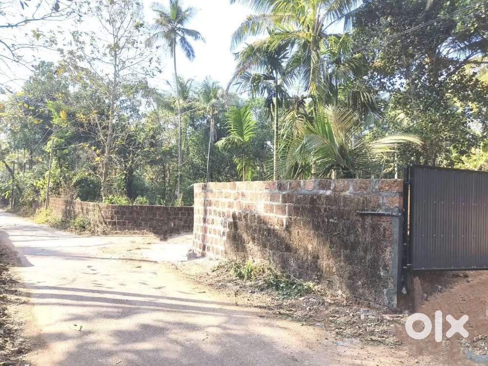 Residential Land for Sale 