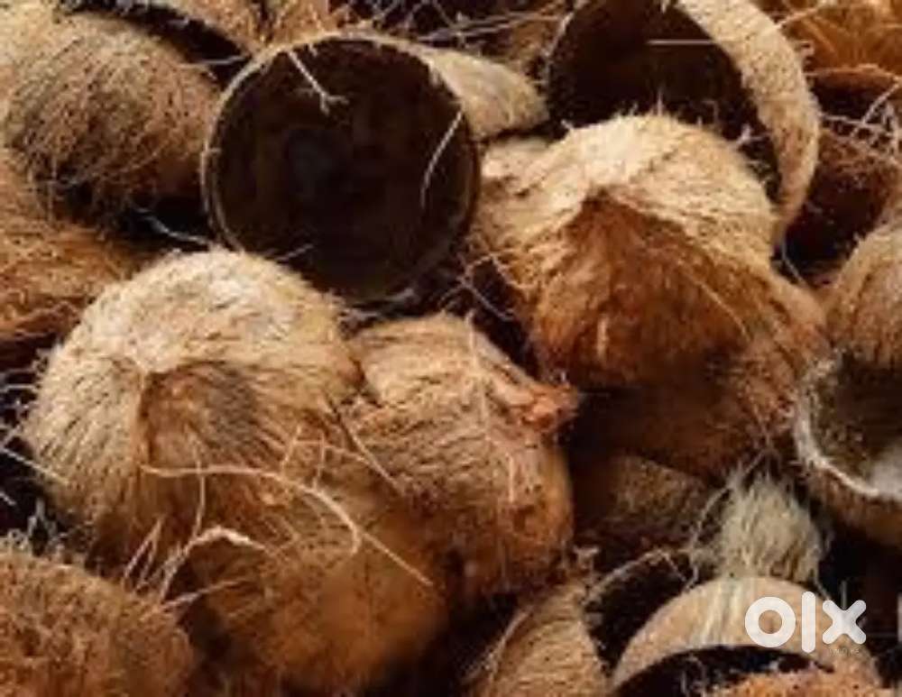 Coconut shell