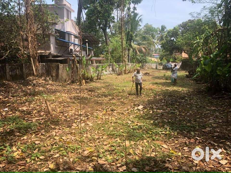 Commercial Land For Sale in Chengannur  House Plot Sale in Chengannur