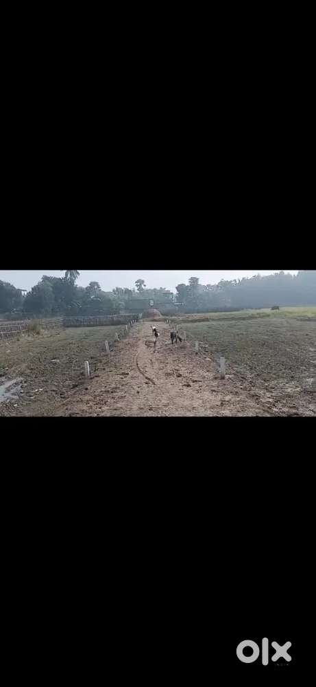 Ghar banane k lia jamin h